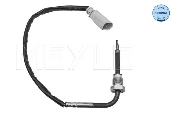 Sensor, Abgastemperatur