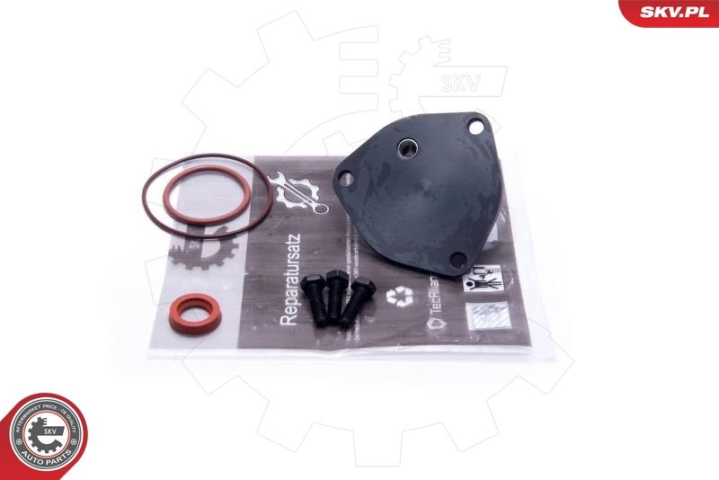 Reparatursatz, Unterdruckpumpe (Bremsanlage)