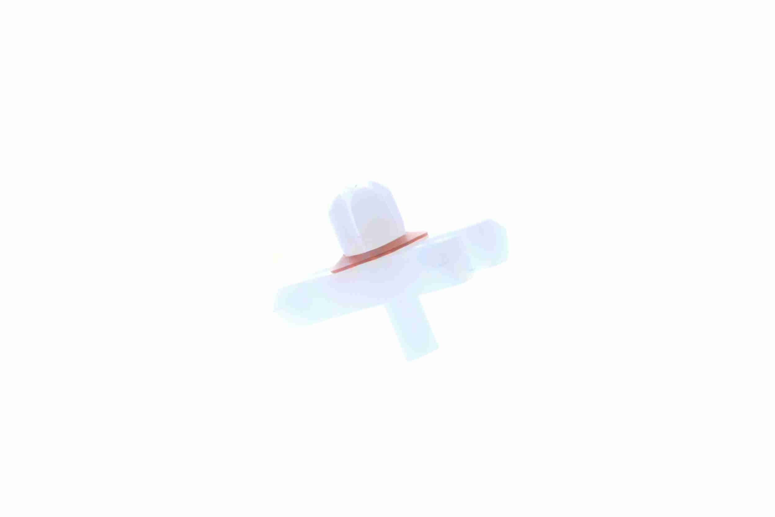Clip, Zier-/Schutzleiste