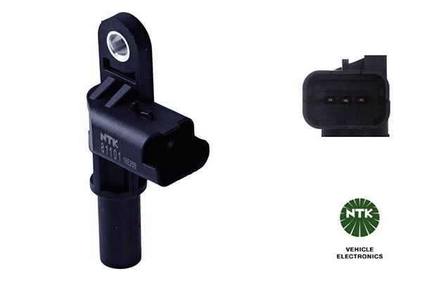 Toerental en pos. senor 81101