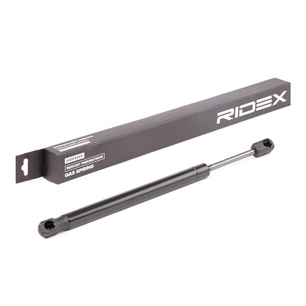 RIDEX 219G0795 Gas Spring, boot/cargo area