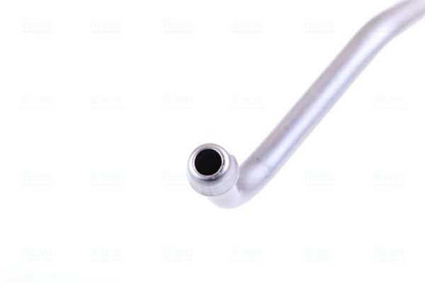 alyvos žarna