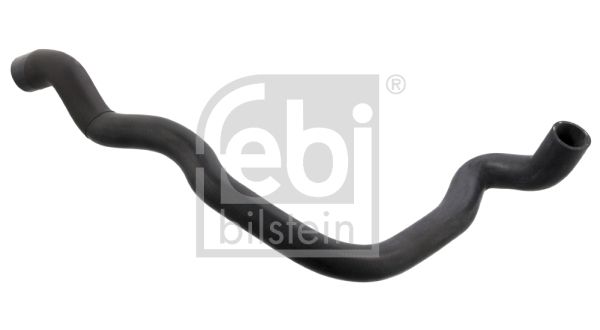 Radiator Hose 102487