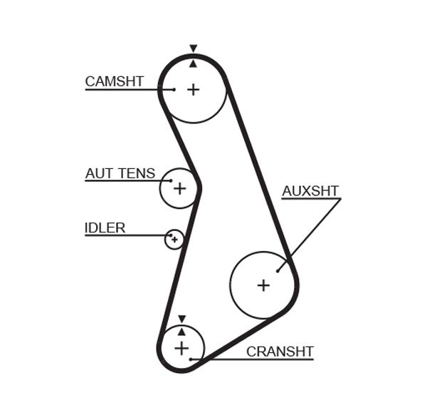 Timing Belt T317RB