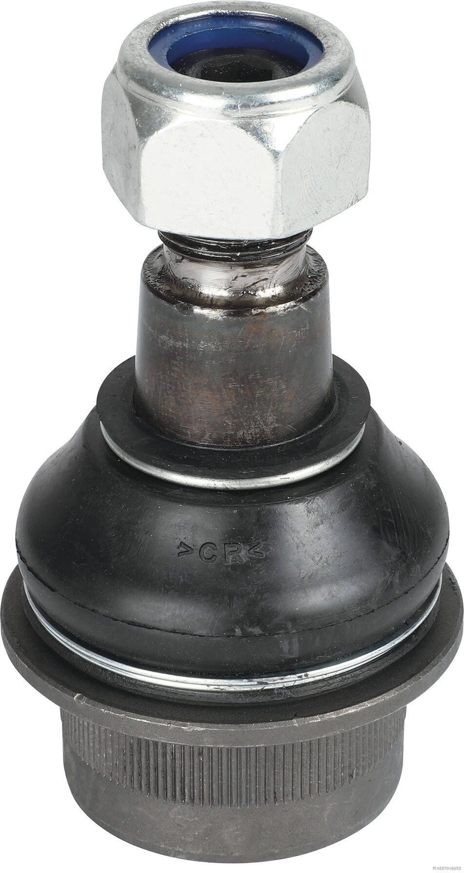 Trag-/Führungsgelenk