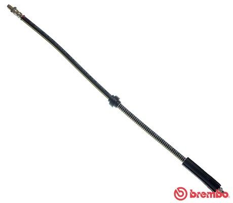 Brake Hose T 61 021