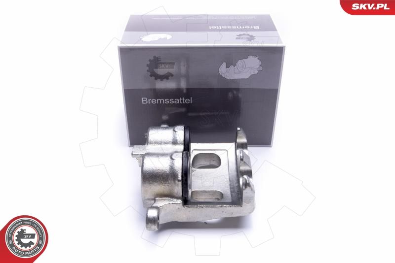 Brake Caliper 55SKV011