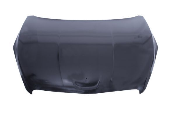 Motorhaube