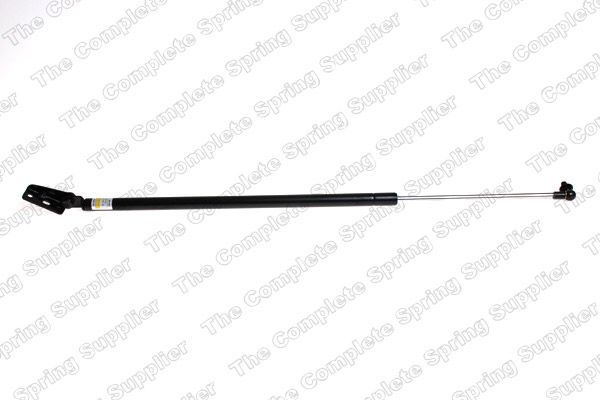 Gasfeder, Koffer-/Laderaum