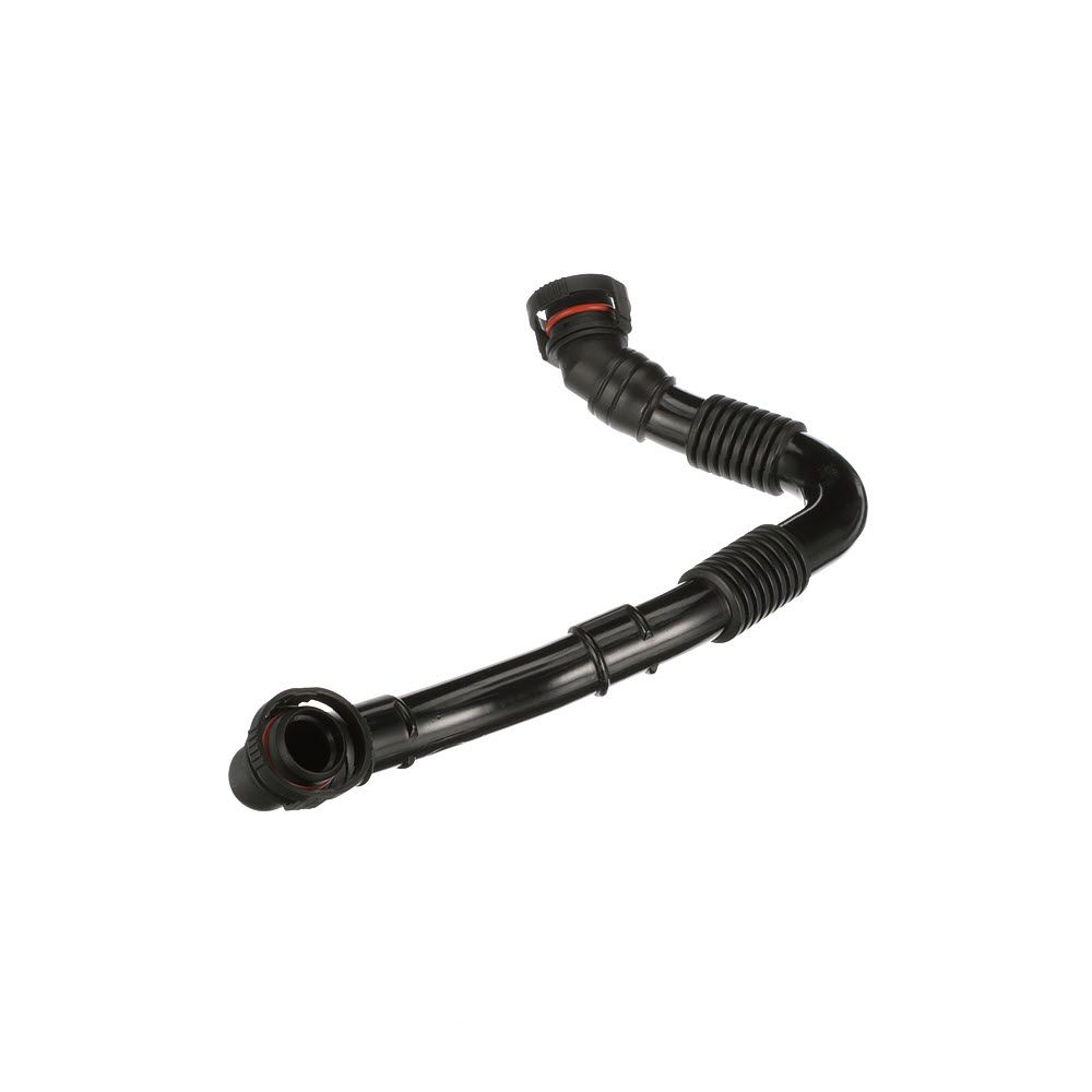 žarna, karterio alsuoklis