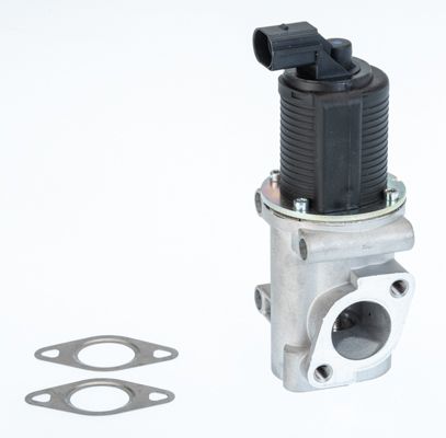 EGR Valve 710772D