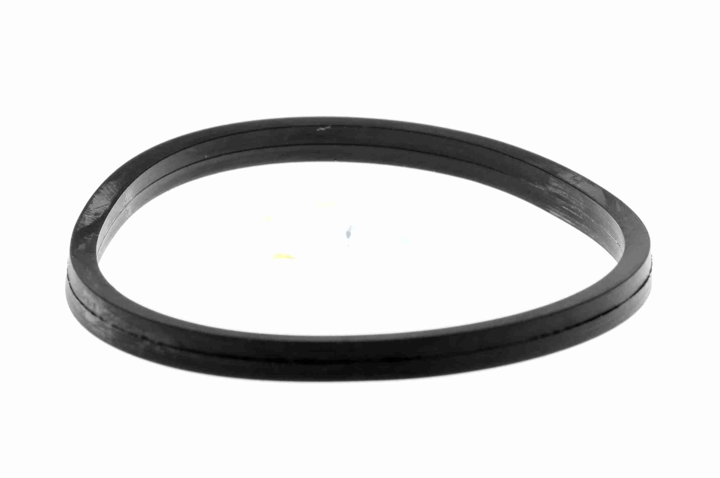 Dichtung, Thermostat