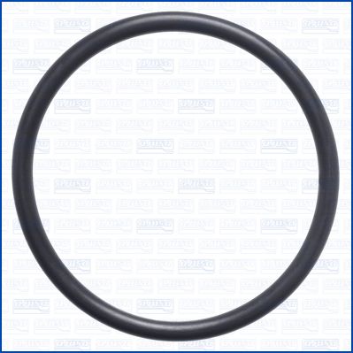 Junta anular, manguera de admisión (caja de filtro de aire)