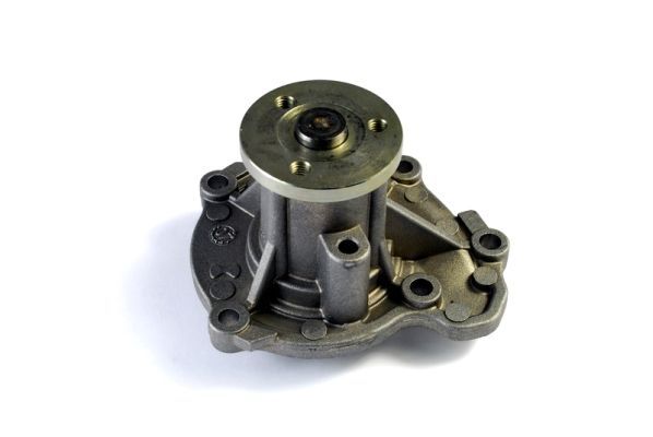 Water Pump, engine cooling D11071TT