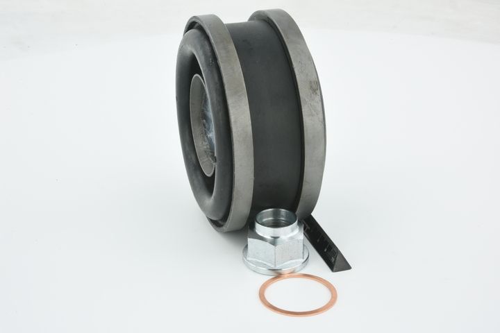 guolis, kardaninio veleno centrinis guolis