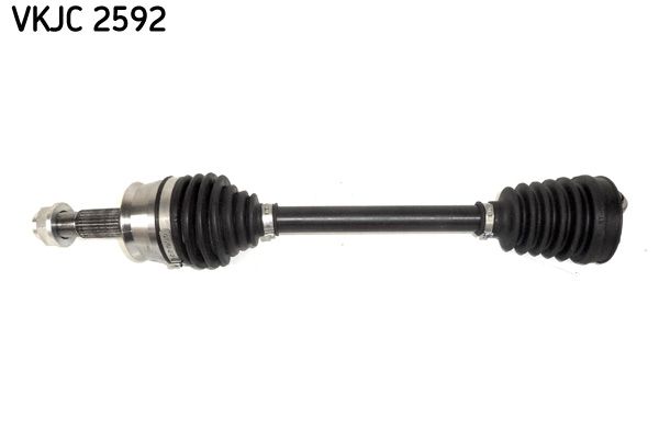 VKJC 2592.JPG