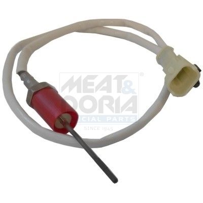 Sensor, Abgastemperatur