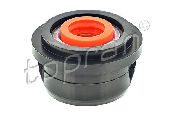 Buchse, Schaltstange