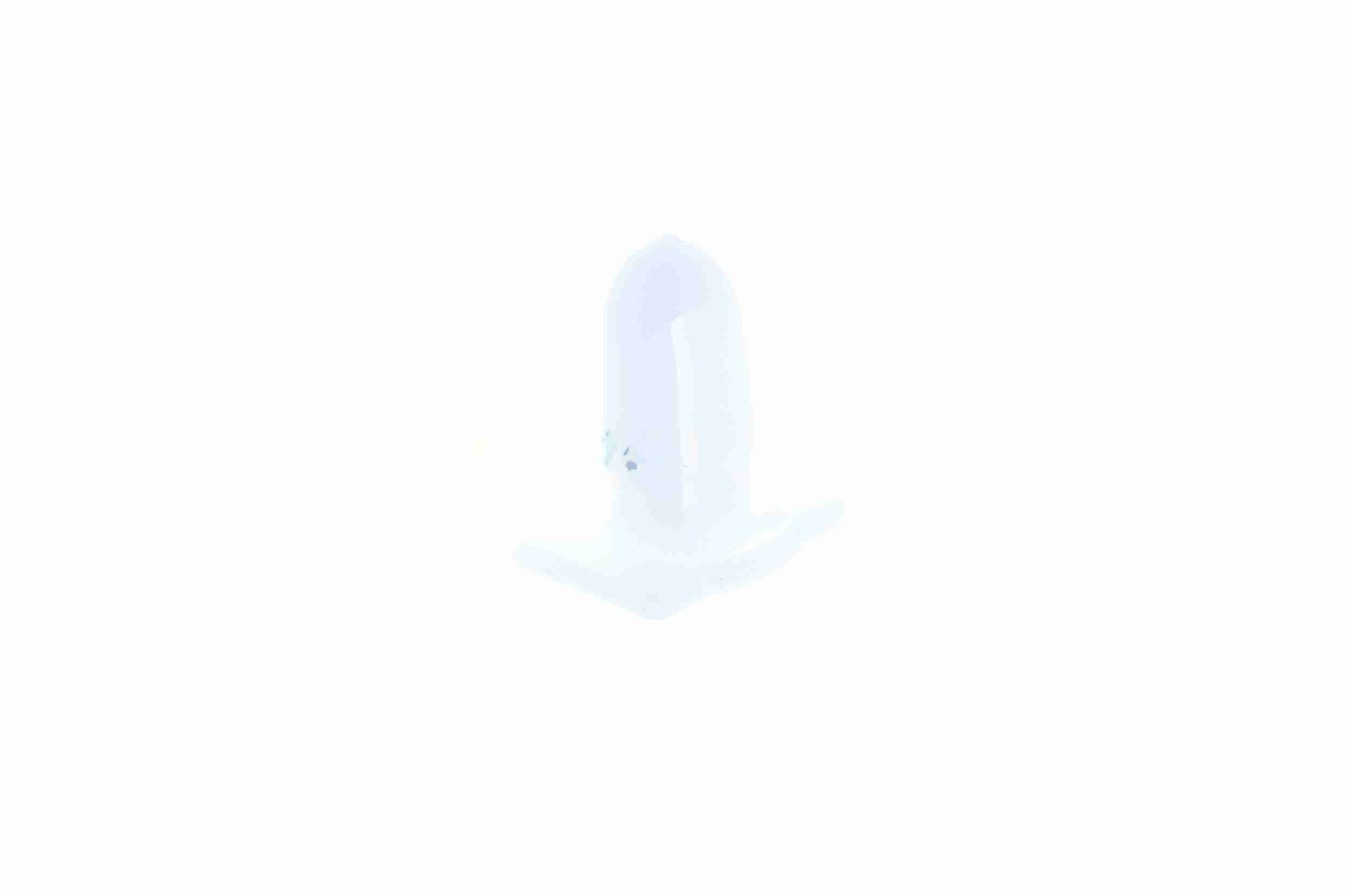 Clip