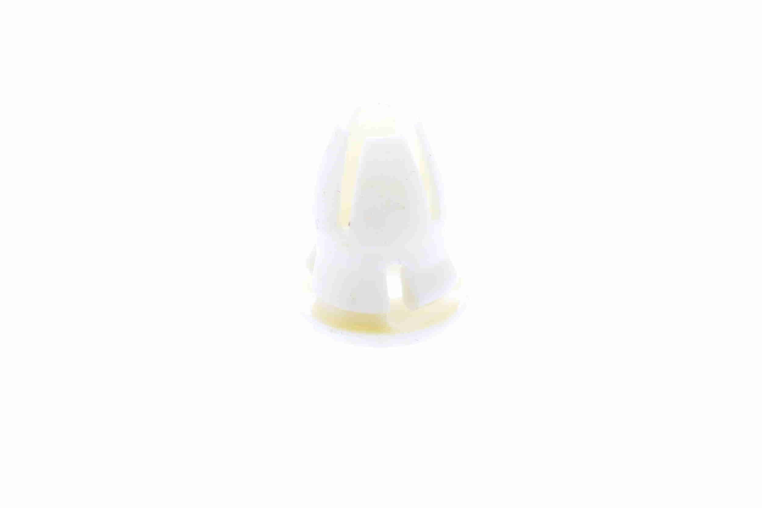 Clip, Zier-/Schutzleiste