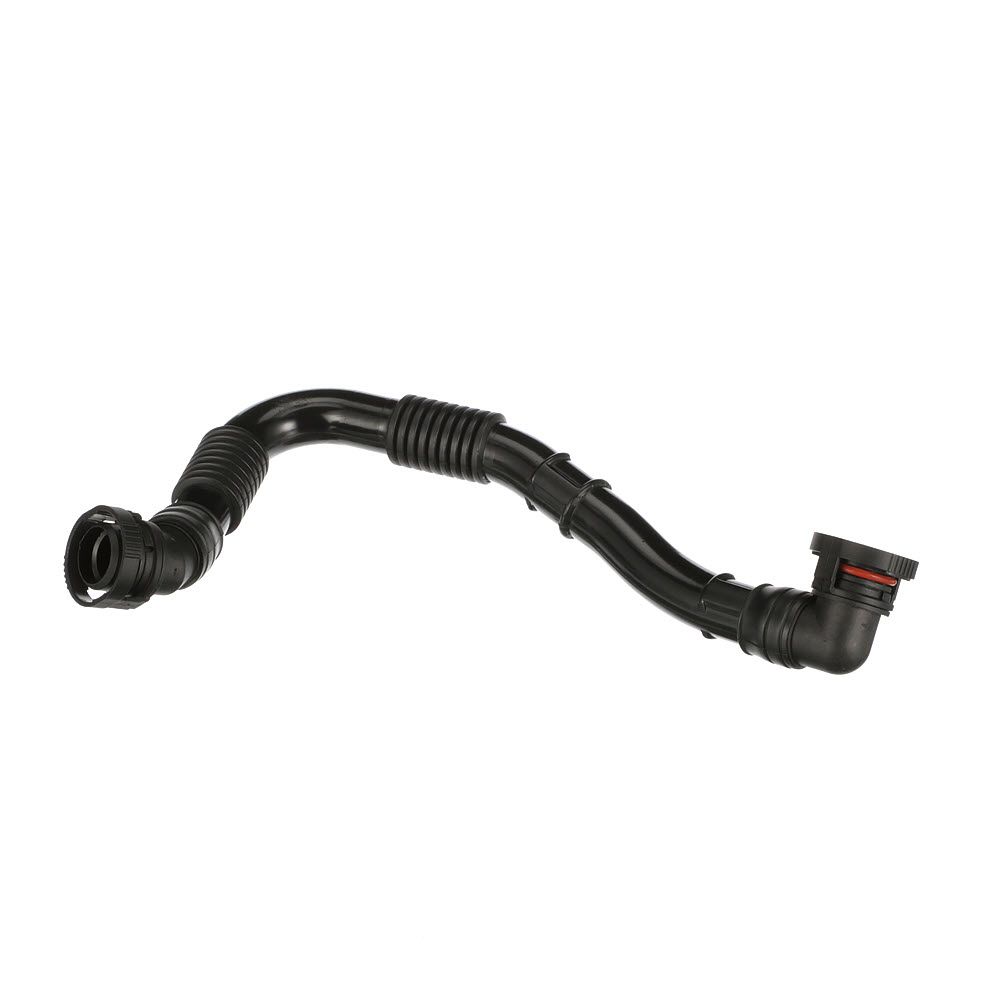 žarna, karterio alsuoklis