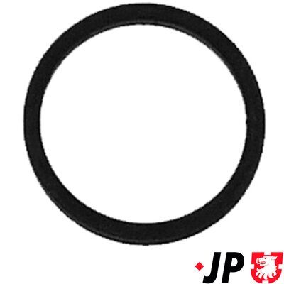 Dichtring, Einspritzventil