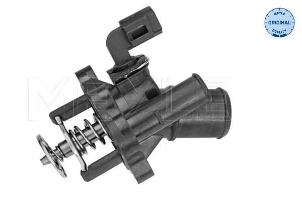 FS_7282280000_1.JPG
