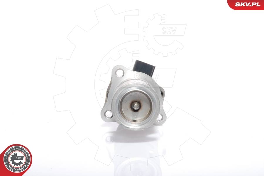 EGR Valve 14SKV009