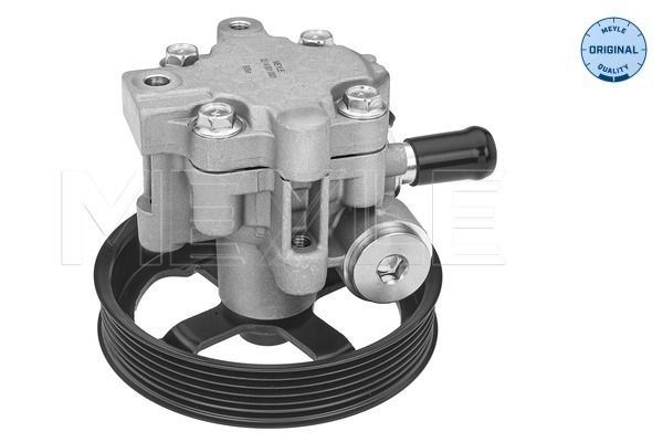 Hydraulikpumpe, Lenkung