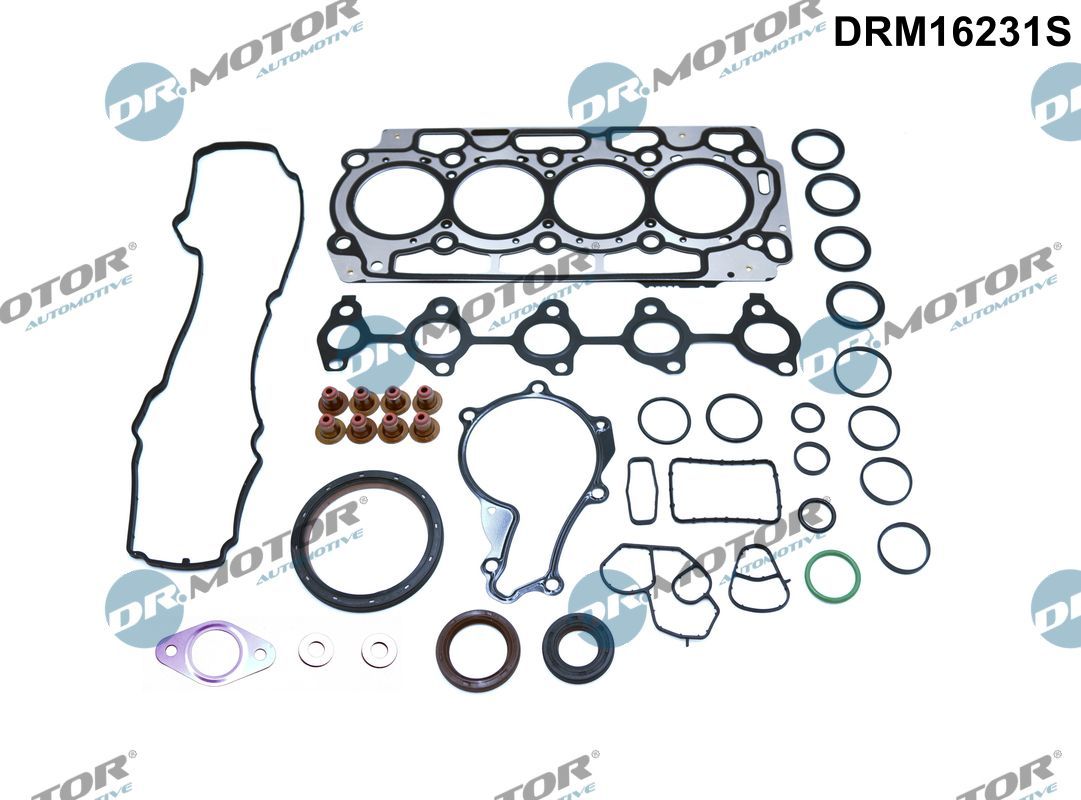 Dr.Motor Automotive DRM16231S Dichtungsvollsatz, Motor