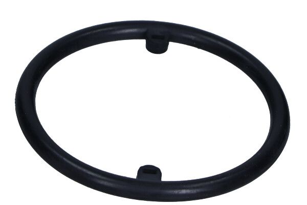 MAXGEAR 70-0115 Gasket, oil cooler