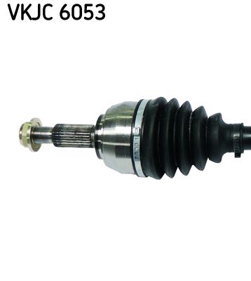 VKJC 6053_2.JPG