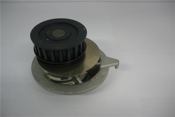 Bomba de agua, refrigeración del motor