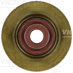 Dichtring, Ventilschaft