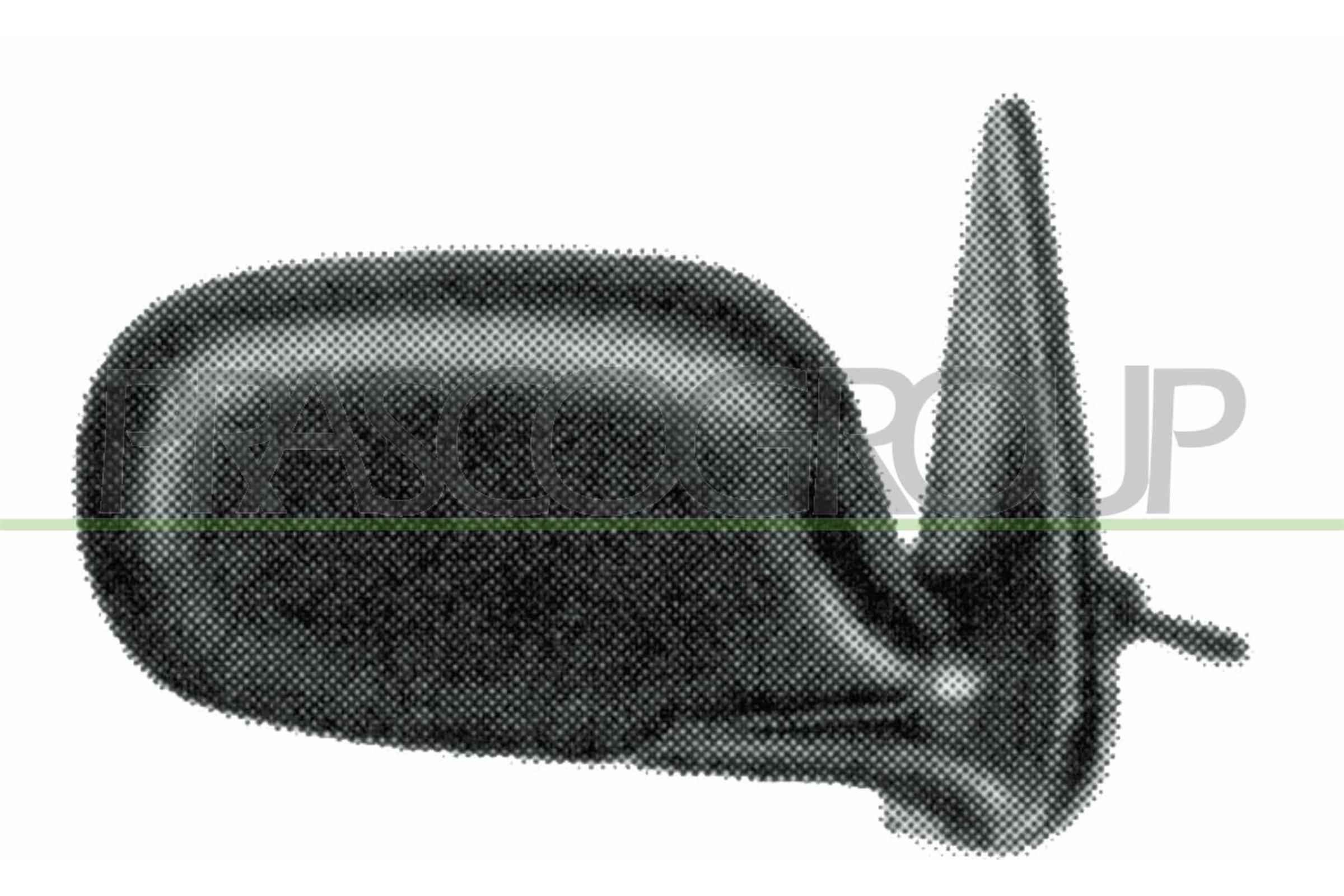 DS0057114 PRASCO külső visszapillantó