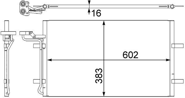 293315795.JPG