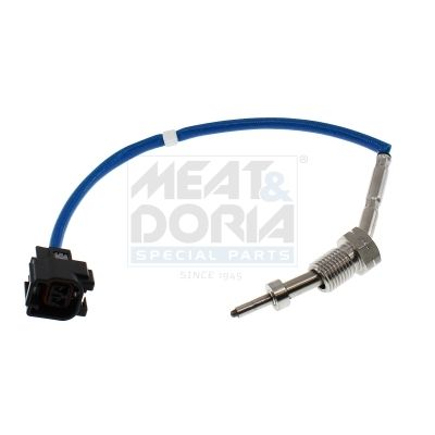 Sensor, Abgastemperatur