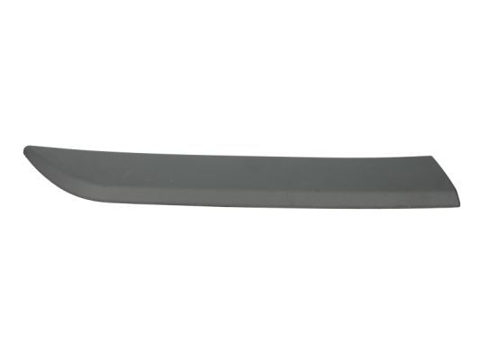 Zier-/Schutzleiste, Kotflügel