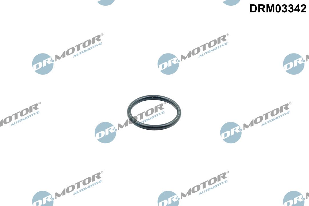 drm03342.JPG