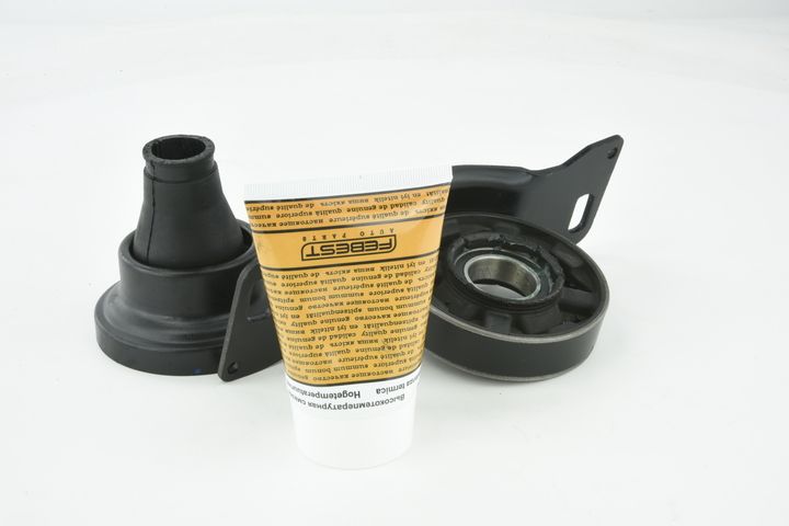 guolis, kardaninio veleno centrinis guolis