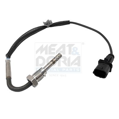 Sensor, Abgastemperatur