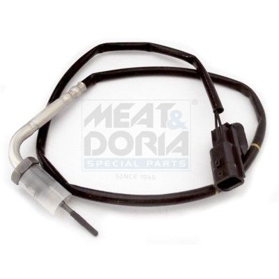Sensor, Abgastemperatur