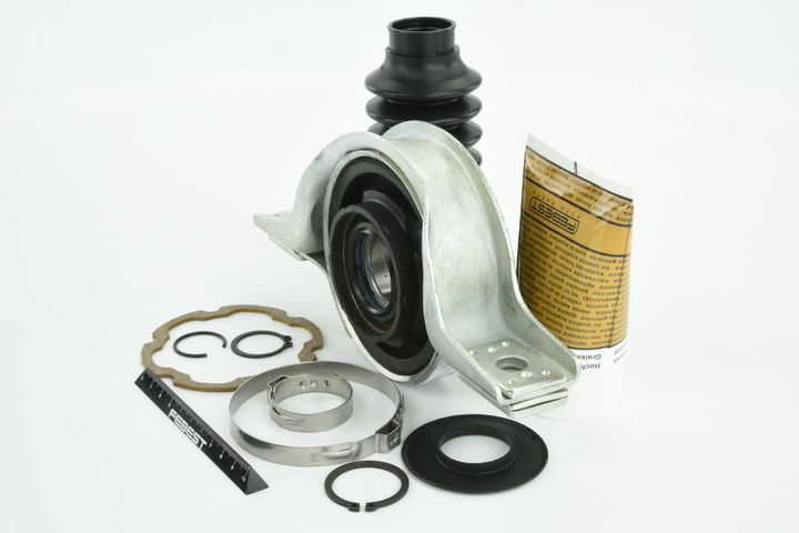 guolis, kardaninio veleno centrinis guolis