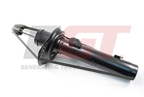 Shock Absorber 383662EGT