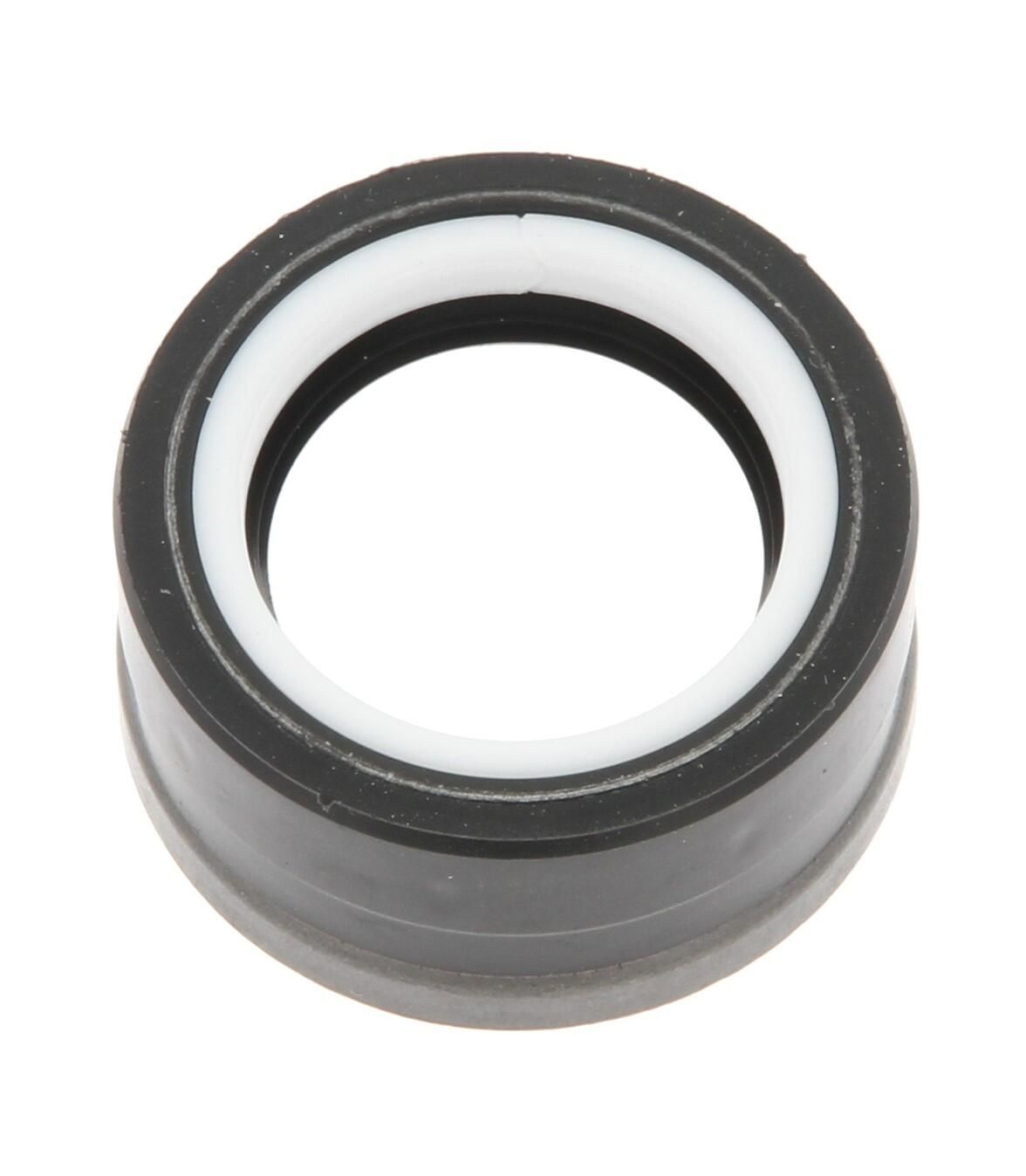 Dichtring