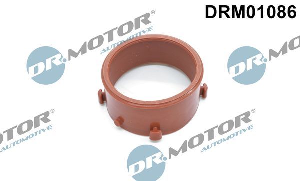 drm_drm01086_wm_01.JPG
