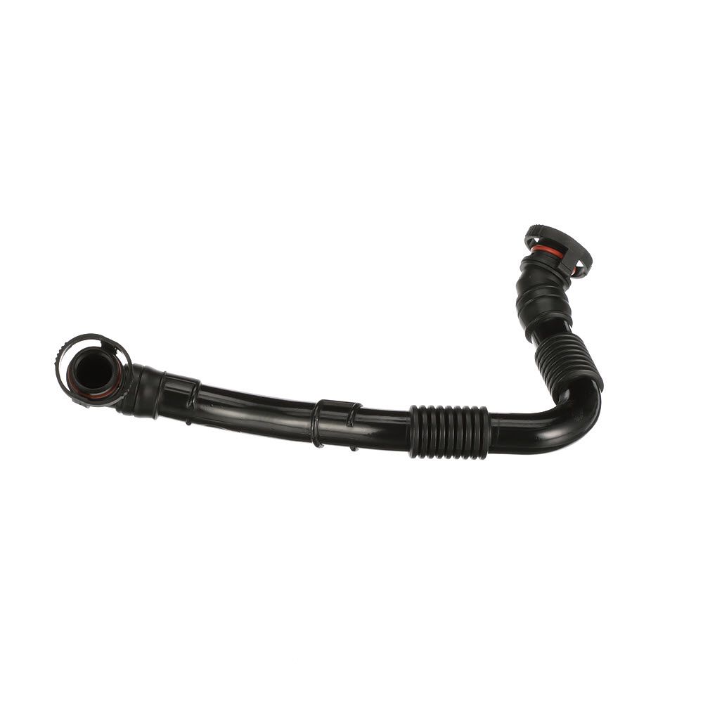 žarna, karterio alsuoklis