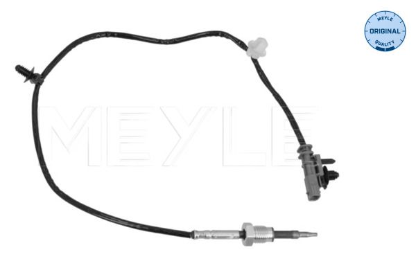 Sensor, Abgastemperatur Sensor, Abgastemperatur