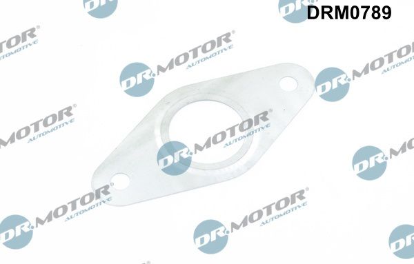 drm_drm0789_wm_01.JPG
