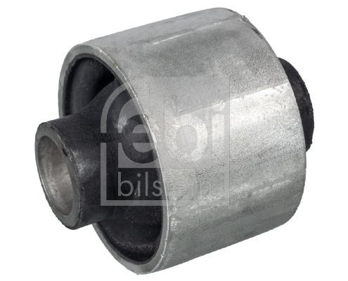 Mounting, control/trailing arm 31299